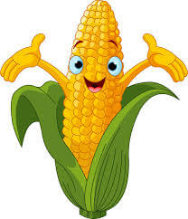 Frankenmuth Jellystone Park Corn Boil